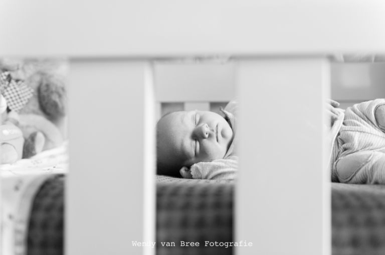 WendyvanBreeFotografie-16